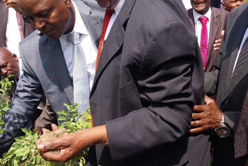 Morre Malaquias Magamane Massingue, fundador da Igreja Velha Apostólica em Moçambique